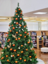 2025 크리스마스 '감'트리 